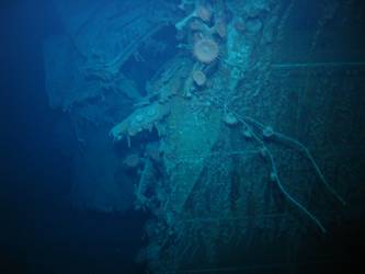 Break in ship's stbd side below main deck level